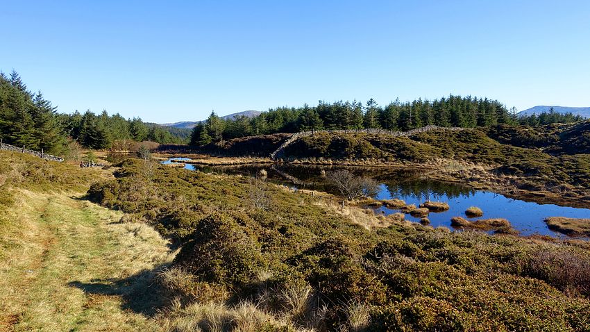 Pools of Mynydd Foel-uchaf Pools of Mynydd Foel-uchaf