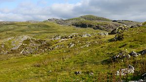 View towards Moel Ysgyfarnogod