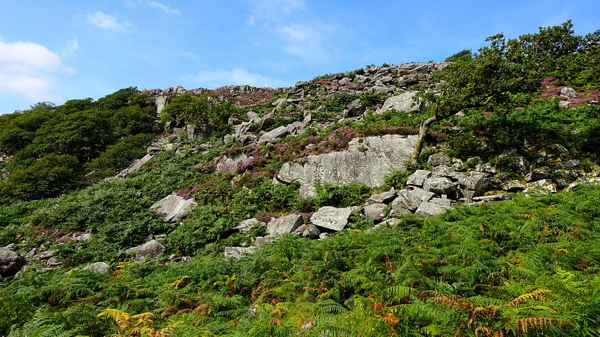 Rock and heather ravine walls