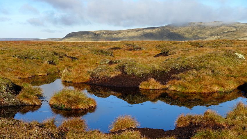 Moorland pools on Glead Hill Moorland pools on Glead Hill