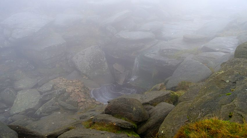 Kinder Downfall Kinder Downfall
