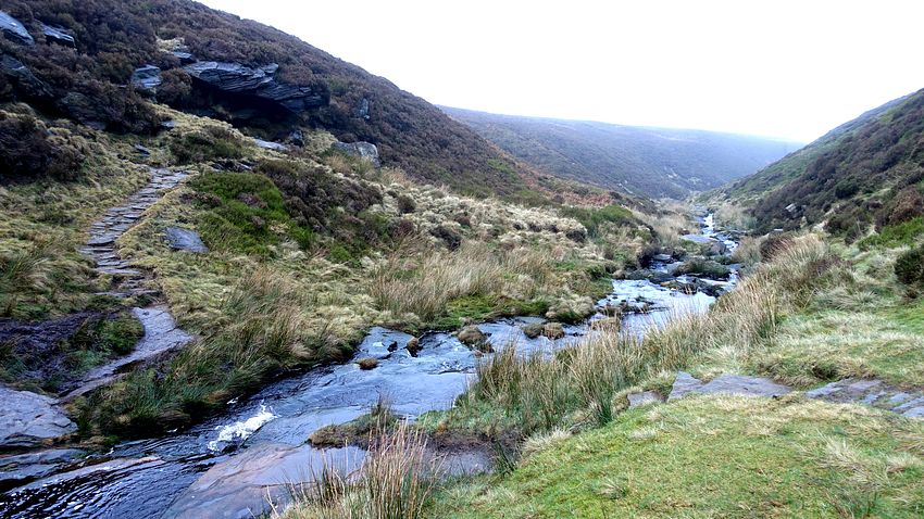Reap Hill Clough