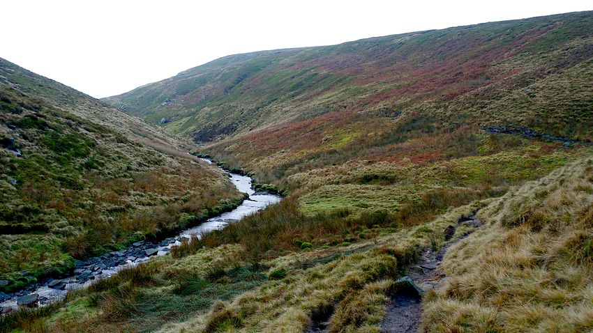 Approaching Black Chew Head