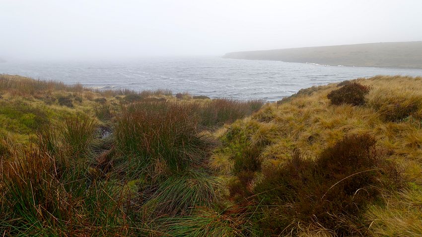 A choppy Chew reservoir