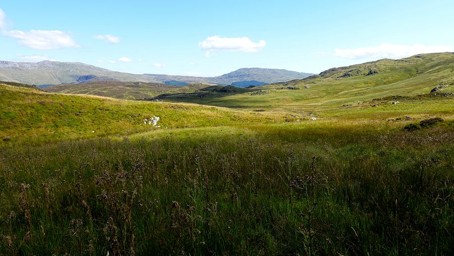 View to the Arans from the forest edge View to the Arans from the forest edge