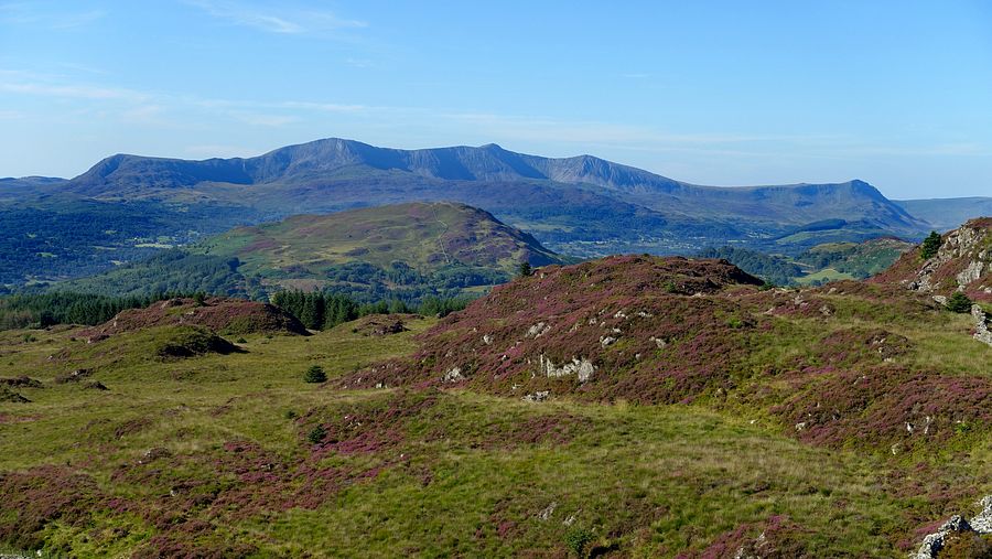 Foel Offrwm & the Cadair ridge from Rhobell Fawr Foel Offrwm & the Cadair ridge from Rhobell Fawr