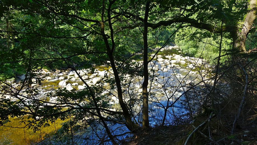 The Afon Mawddach at Coed y Brenin Forest Park The Afon Mawddach at Coed y Brenin Forest Park
