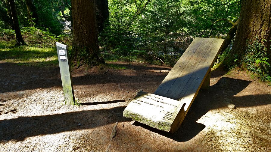Coed y Brenin Forest Park - an offer hard to refuse Coed y Brenin Forest Park - an offer hard to refuse