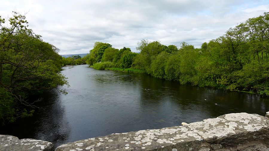 The Dee from Cynwyd