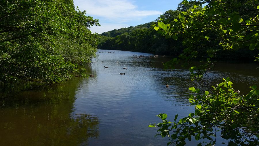 Keg's Pool in Etherow Park Keg's Pool in Etherow Park
