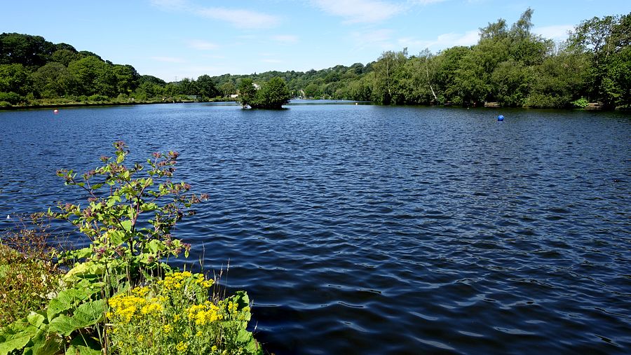Lake at Etherow Park Lake at Etherow Park