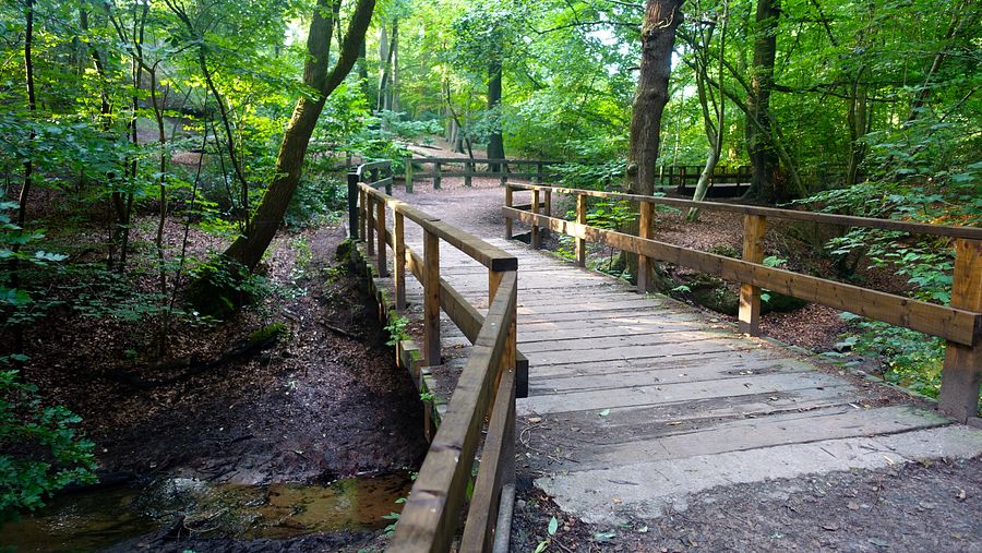 Bridge on Lumb Brook