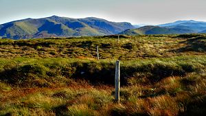 Early view from Tarrenhendre
