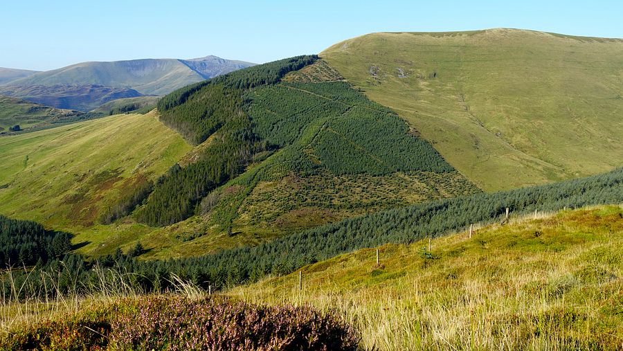 Tarren y Gesail from Mynydd Rhyd-galed Tarren y Gesail from Mynydd Rhyd-galed
