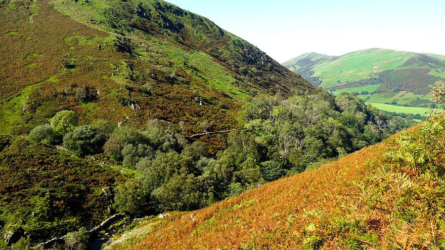 View from the track above the Dolgoch Falls View from the track above the Dolgoch Falls