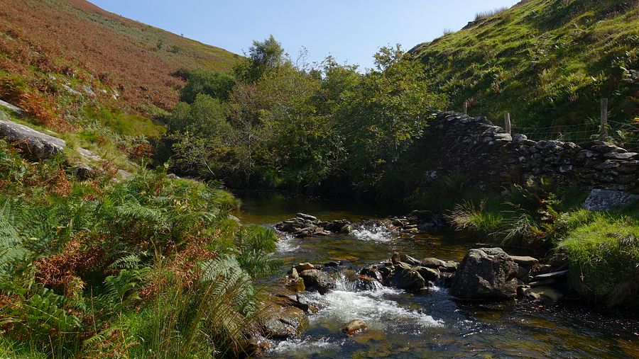 At the top of the Dolgoch Falls woodland At the top of the Dolgoch Falls woodland