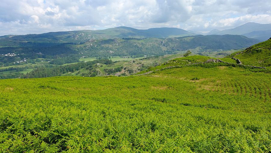 View from Brantrake Crags View from Brantrake Crags