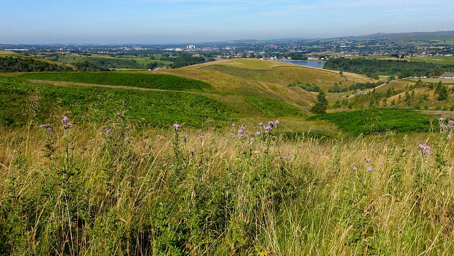 View towards Hollingworth Lake from Clegg Moor View towards Hollingworth Lake from Clegg Moor