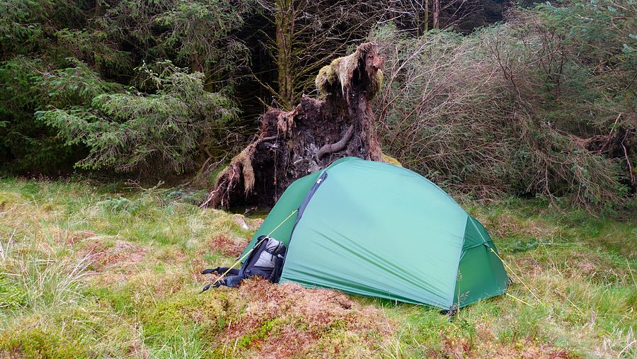 Pitch at the forest edge