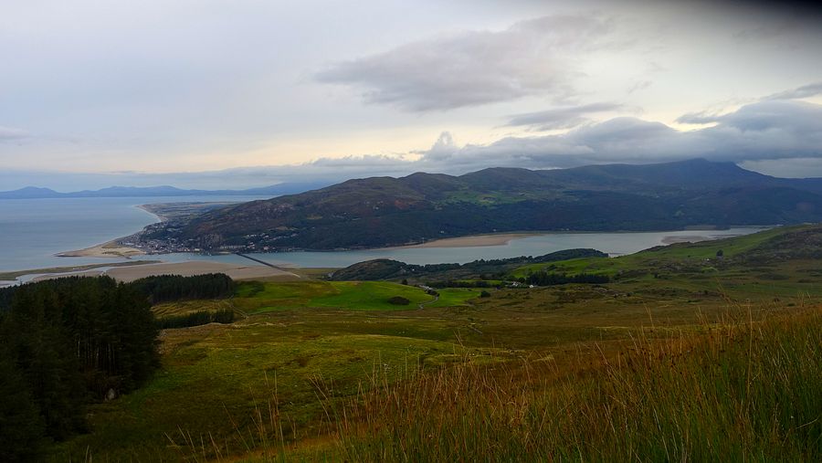 Early view over the estuary