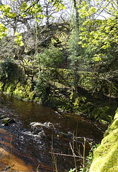 Rock face on the Goyt