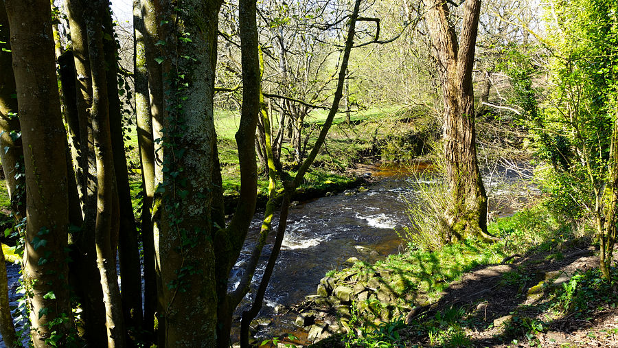 The Goyt