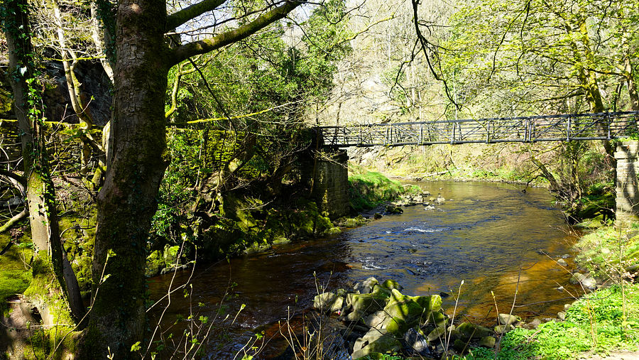 Footbridge on the Goyt