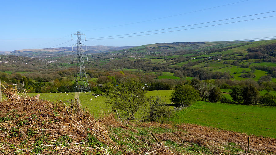 View from near Beacom Houses