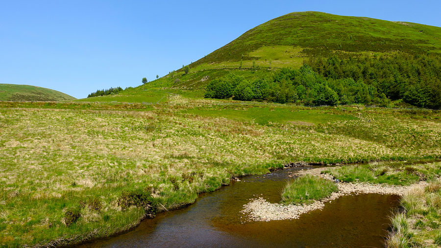 Y Foel and the Wye Y Foel and the Wye