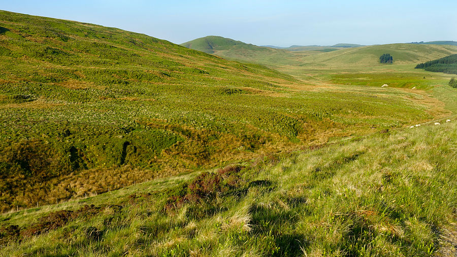 The Llygnant valley The Llygnant valley