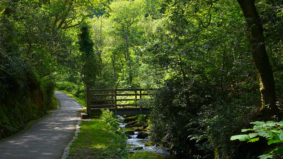Approaching Dolgoch Falls Approaching Dolgoch Falls