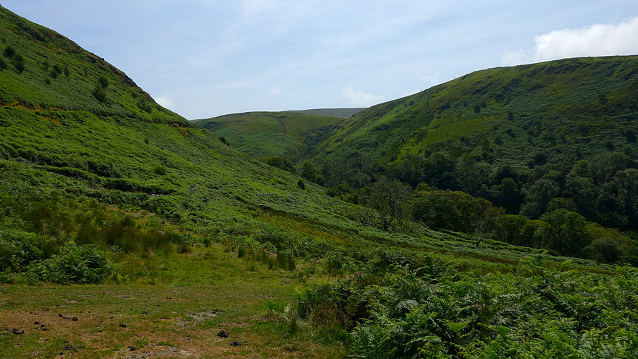 Nant Dolgoch valley Nant Dolgoch valley