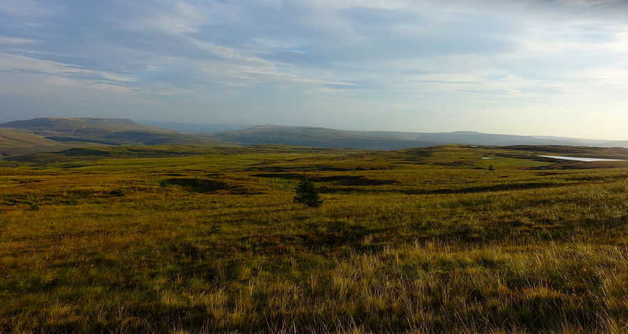 View to Widdale Tarns from Great Knoutberry Hill
